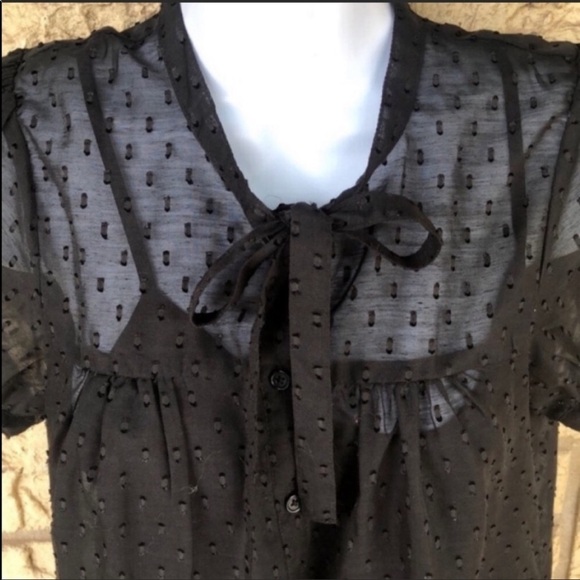 Embroidered Sheer Black gorgeous Dress Size XS Wednesday, Adams - Picture 7 of 12